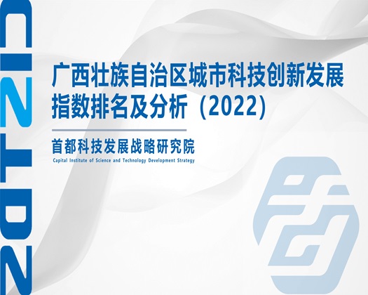 俩个大鸡巴操一个逼【成果发布】广西壮族自治区城市科技创新发展指数排名及分析（2022）